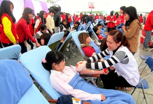 В Ханое состоялся государственный праздник добровольцев 2014 - ảnh 1